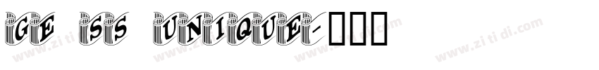 GE SS Unique字体转换